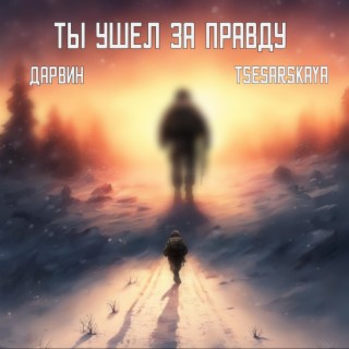 Ты ушёл за правду