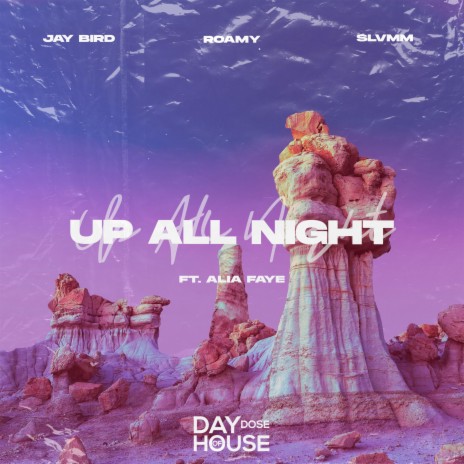 Up All Night (feat. Alia Faye) | Boomplay Music