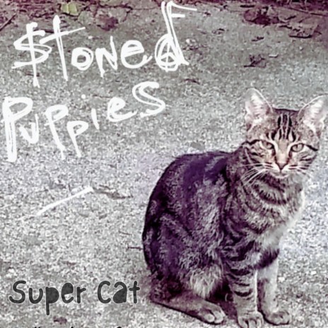 Super Cat | Boomplay Music