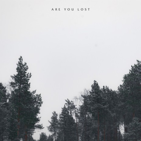 Are You Lost | Boomplay Music