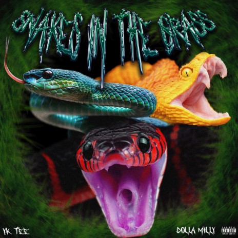 Snakes in the Grass ft. Dolla Milly | Boomplay Music