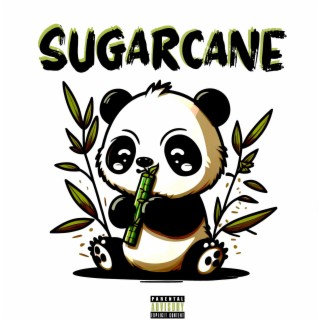 SUGARCANE