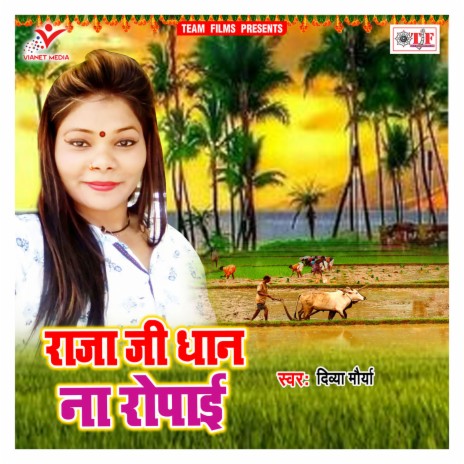 Suna Bhatru Hamse Dhan Na Ropai | Boomplay Music