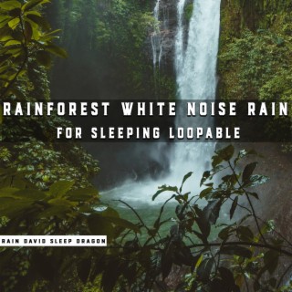 Rainforest White Noise Rain for Sleeping Loopable
