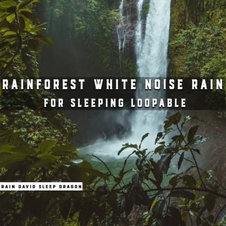 Forest Songs | Boomplay Music