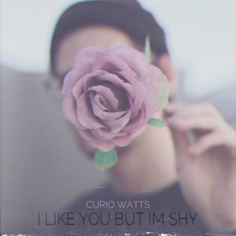 I Like You but I'm Shy