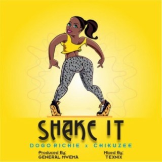 Shake It ft. Chikuzee