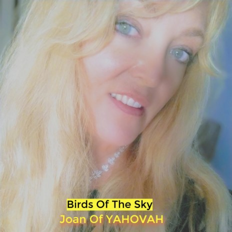 Birds Of The Sky