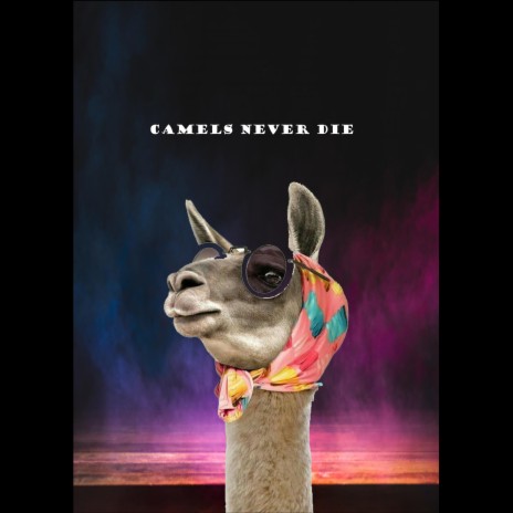 Camels Never Die