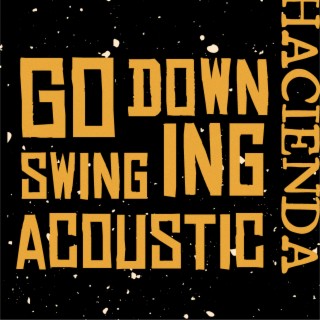 Go Down Swinging (Acoustic Version)