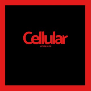 Cellular (Amapiano)