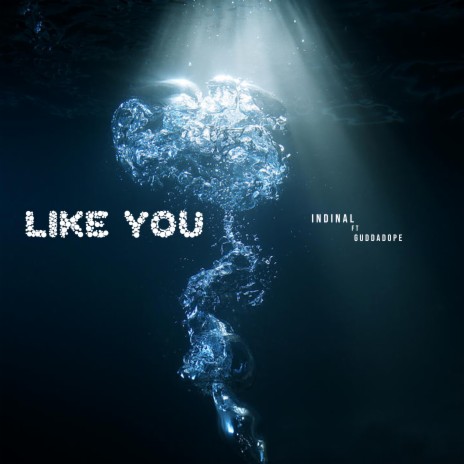 Like You (Remastered) ft. Guddadope | Boomplay Music