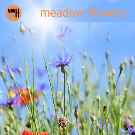 meadow flowers | Boomplay Music