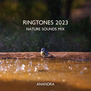Ringtones 2023: Nature Sounds Mix, Birds, Waves, Rain, Calming Water