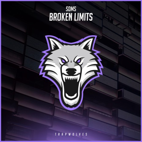 Broken Limits | Boomplay Music