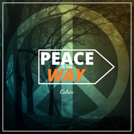 The Peace is the Way | Boomplay Music