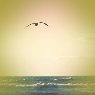 Seagulls and Ocean Waves for Creative Thinking and Deep Focus