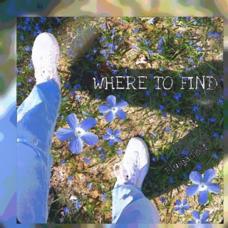 Where to Find