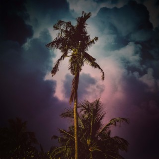 Tropical Storm Sounds for Deep Meditation and Instant Relaxation