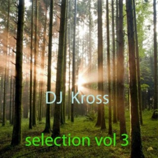 DJ Kross