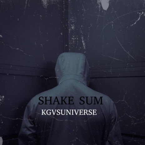 SHAKE SUM | Boomplay Music