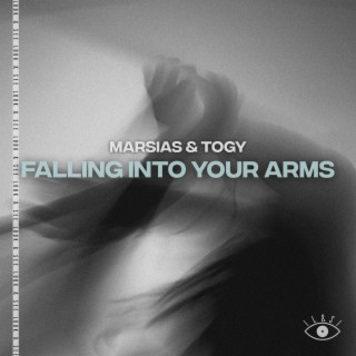 Falling Into Your Arms