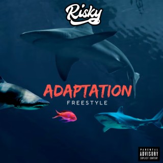 Adaptation Freestyle