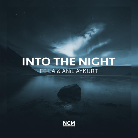 Into The Night ft. Anıl Aykurt | Boomplay Music