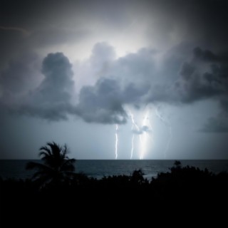 Increase Concentration and Focus with Sounds of Tropical Storm
