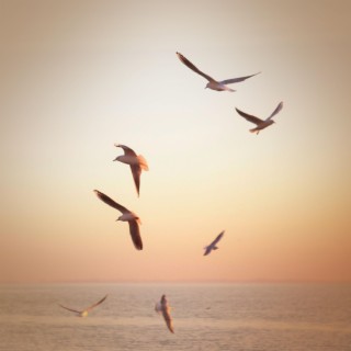 Sea Gull Sounds and Relaxing Sea Waves for Stress Relief and Relaxation