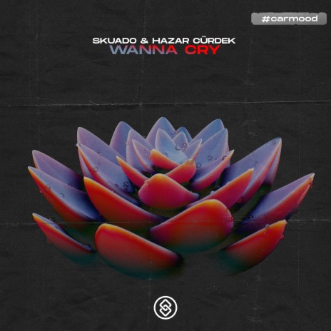 Wanna Cry ft. Hazar Cürdek | Boomplay Music