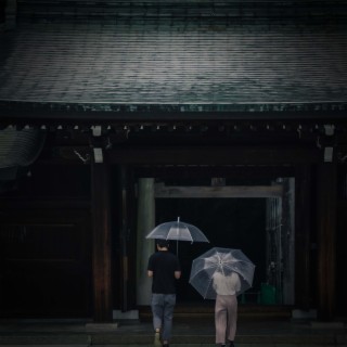 Relaxing Sound of Rain on Rooftop for Peaceful Sleep and Relaxation