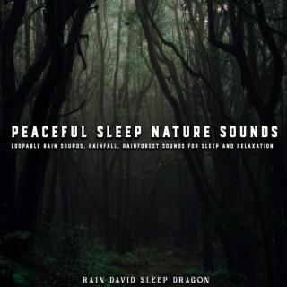 Peaceful Sleep Nature Sounds, Loopable Rain Sounds, Rainfall, Rainforest Sounds for Sleep and Relaxation