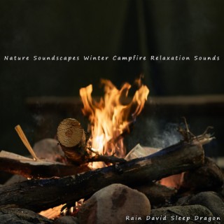 Nature Soundscapes Winter Campfire Relaxation Sounds