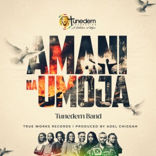 Amani na Umoja lyrics | Boomplay Music