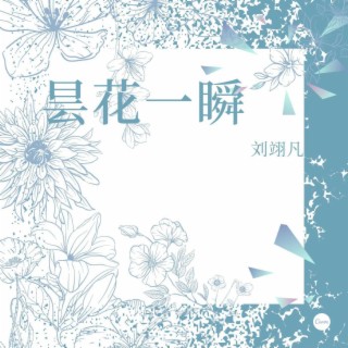 曇花一瞬 lyrics | Boomplay Music