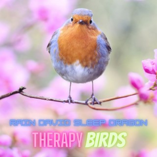 Therapy Birds