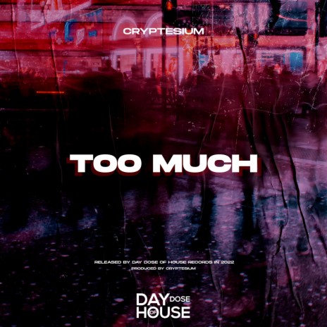 Too Much | Boomplay Music