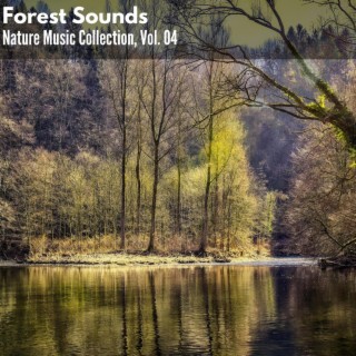 Forest Sounds - Nature Music Collection, Vol. 04