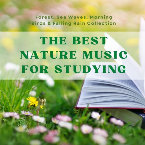 The Best Nature Music for Studying | Boomplay Music