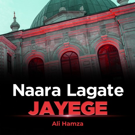 Naara Lagate Jayege | Boomplay Music