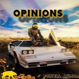 OPINIONS