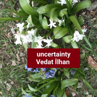 Uncertainty