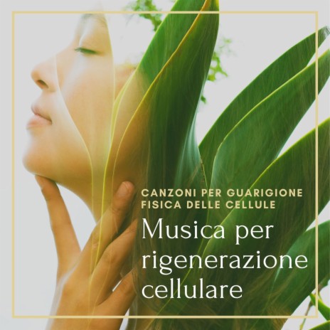 Musica per guarire spiritualmente