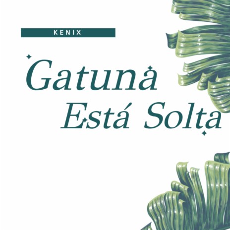 Gatuna Está Solta | Boomplay Music