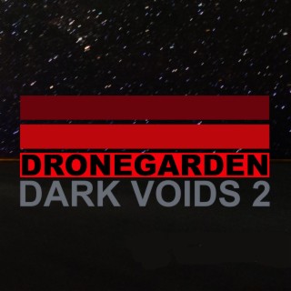 Dark Voids 2