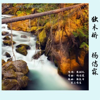 独木桥 lyrics | Boomplay Music