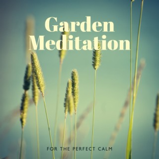 Garden Meditation For the Perfect Calm