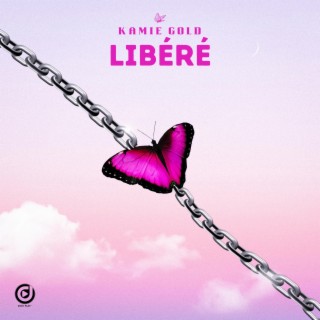 Libéré lyrics | Boomplay Music