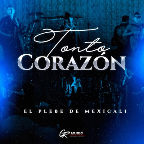 Tonto Corazón (En Vivo) | Boomplay Music
